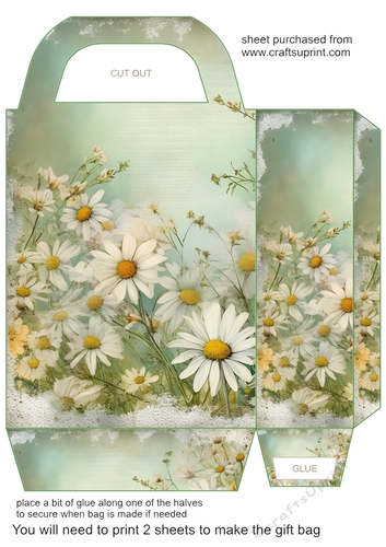 All about the daisies gift bag 1