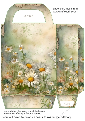 All about the daisies gift bag 2