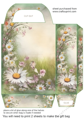 All about the daisies gift bag 3