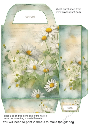 All about the daisies gift bag 4