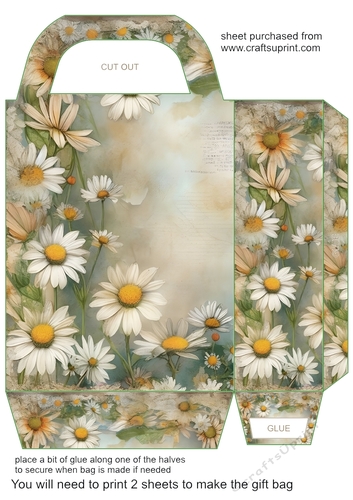 All about the daisies gift bag 5