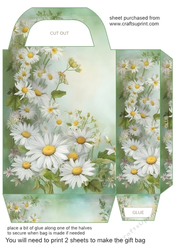 All about the daisies gift bag 6