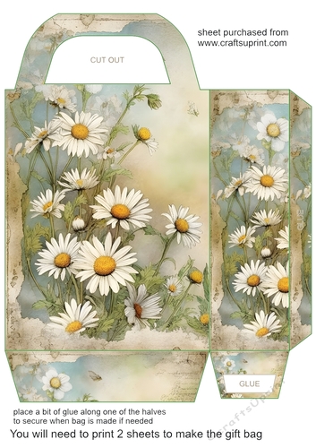 All about the daisies gift bag 7