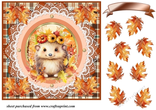 Framed Autumn hedgehog card front 1
