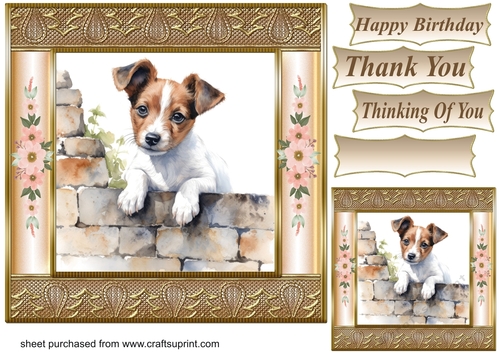 The nosy Jack Russell terrier card front 2