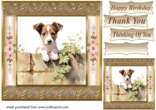 The nosy Jack Russell terrier card front 4