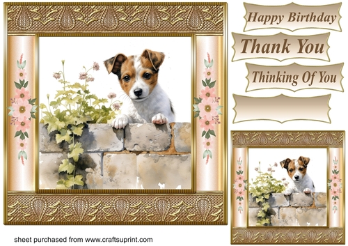 The nosy Jack Russell terrier card front 7
