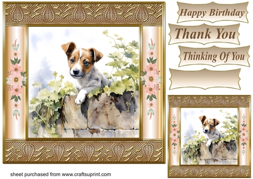 The nosy Jack Russell terrier card front 10