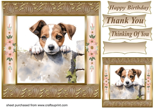 The nosy Jack Russell terrier card front 11