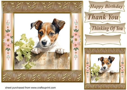 The nosy Jack Russell terrier card front 13