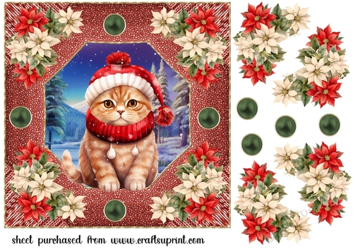 Christmas cat card front 2