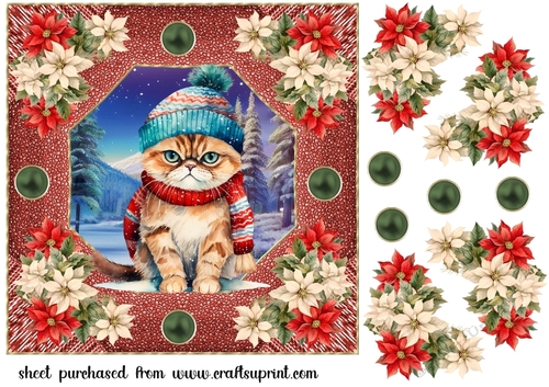 Christmas cat card front 5