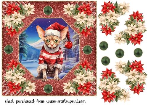 Christmas cat card front 6