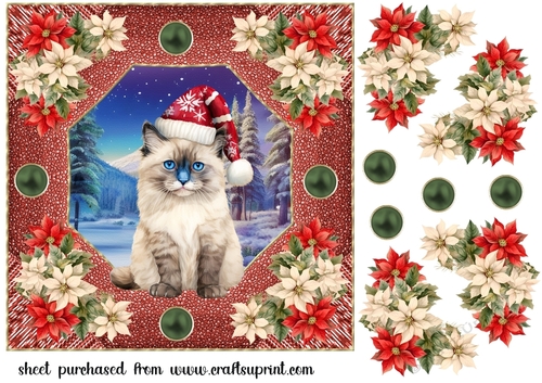 Christmas cat card front 7