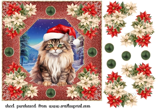 Christmas cat card front 12