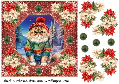 Christmas cat card front 14