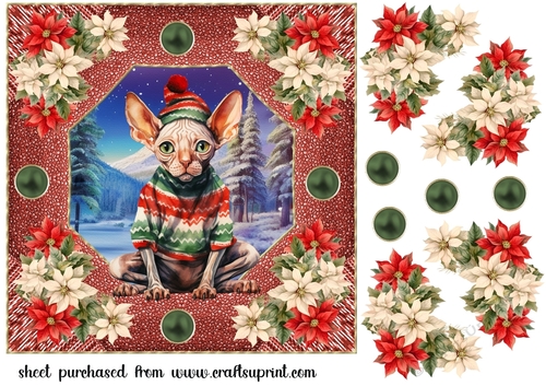 Christmas cat card front 15