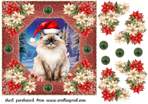 Christmas cat card front 17