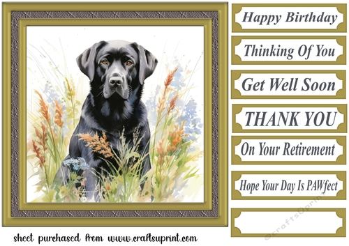 Floral black Labrador card front 3