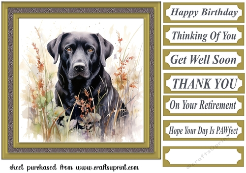 Floral black Labrador card front 4