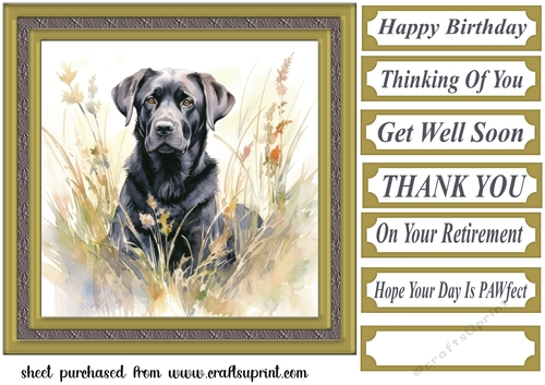 Floral black Labrador card front 5