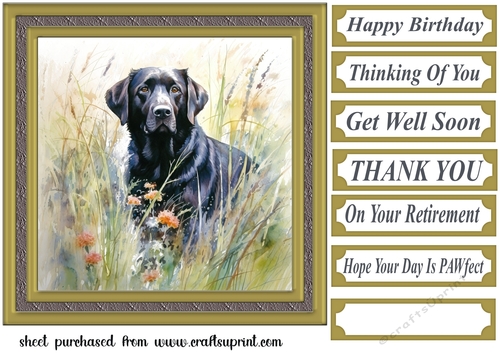 Floral black Labrador card front 6