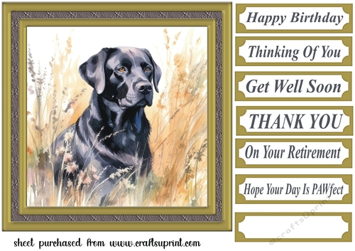 Floral black Labrador card front 8