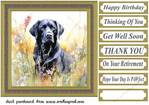 Floral black Labrador card front 9
