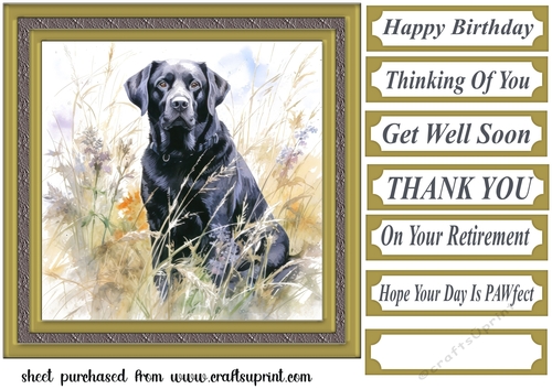 Floral black Labrador card front 11