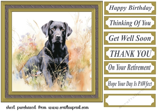 Floral black Labrador card front 12