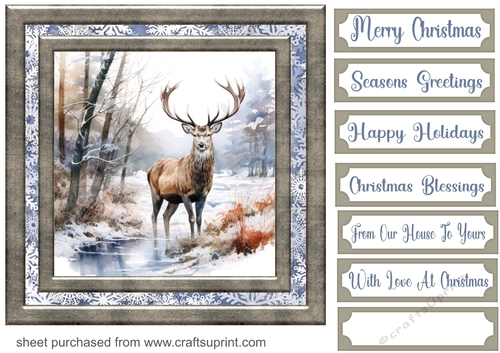 Framed Christmas stag card front 12