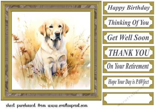 Yellow floral Labrador card front 6