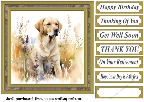 Yellow floral Labrador card front 11