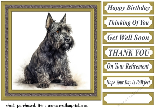 Gold framed Scottish terrier card front 1