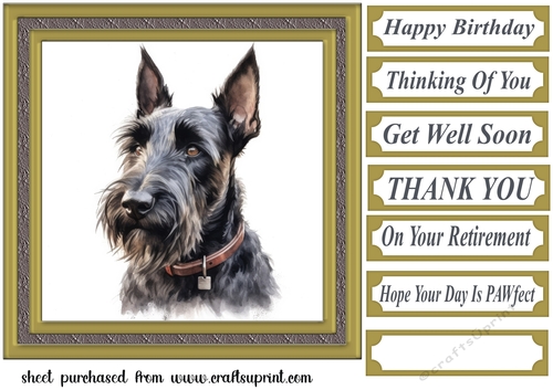 Gold framed Scottish terrier card front 2