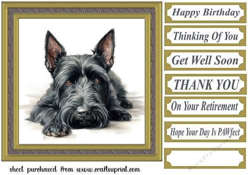 Gold framed Scottish terrier card front 4