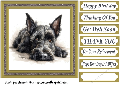 Gold framed Scottish terrier card front 5