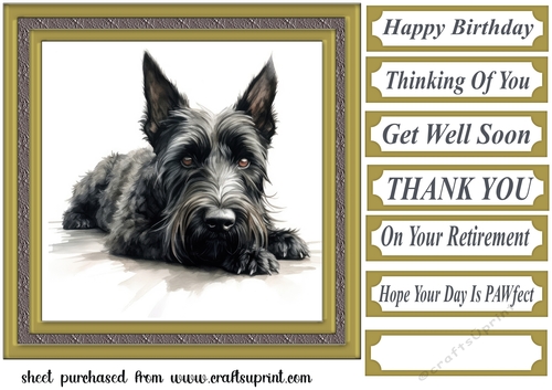Gold framed Scottish terrier card front 6