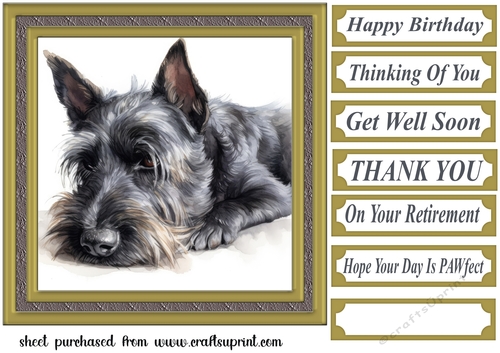 Gold framed Scottish terrier card front 7
