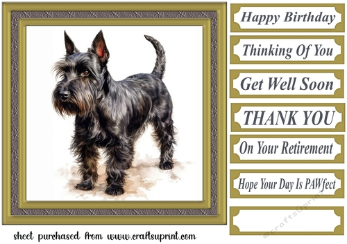 Gold framed Scottish terrier card front 8