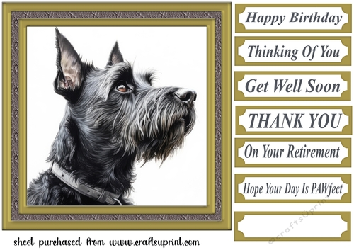 Gold framed Scottish terrier card front 9