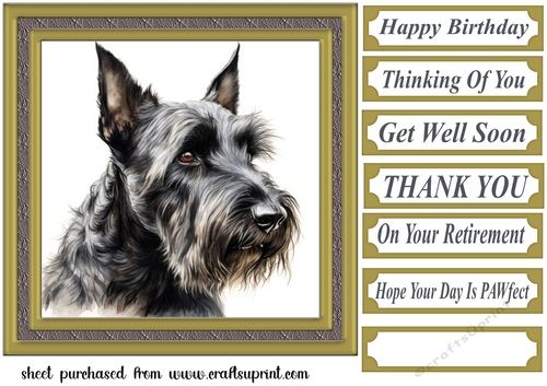 Gold framed Scottish terrier card front 10