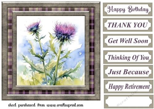 Tartan thistle card front 1
