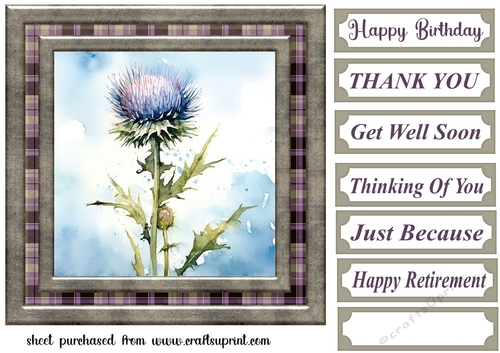 Tartan thistle card front 2