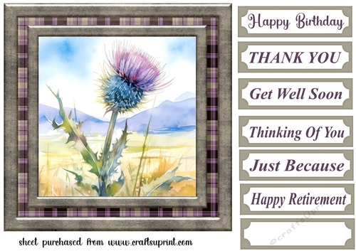 Tartan thistle card front 3