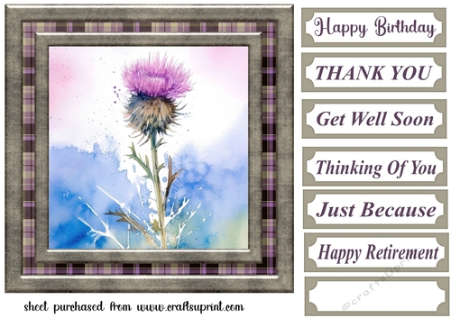Tartan thistle card front 4