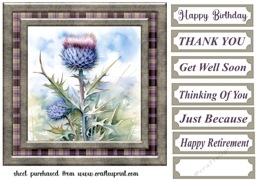 Tartan thistle card front 5