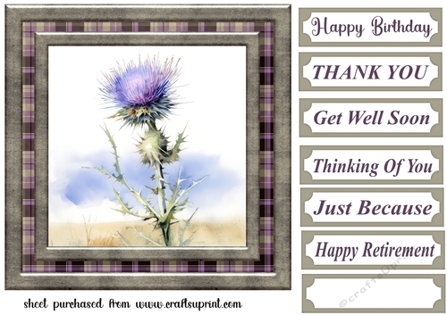 Tartan thistle card front 7