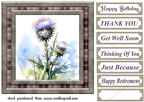 Tartan thistle card front 8