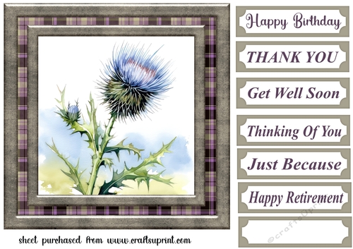 Tartan thistle card front 9